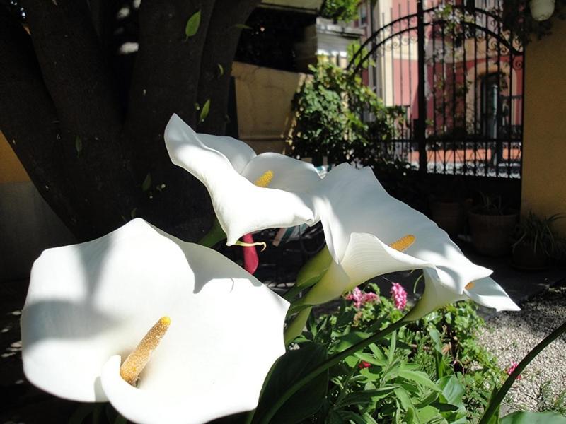 Hotel Miranda Varazze Esterno foto